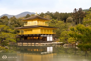You might recognize this one from a popular Mac homescreen image. Or you could make it yours. Kinkaku-ji Temple in Kyoto. (photo by Japan-raised Principal Dancer Kenji Kobayashi)
