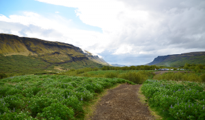 Pārgājienā, lai redzētu Islandes otro augstāko ūdenskritumu Glymur. (Fotopierādījumi tam, ka Islande nav ledus zeme.)