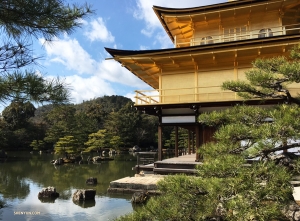 Dancer Betty Wang decides to check out the Kinkaku-ji (the Golden Pavilion).
